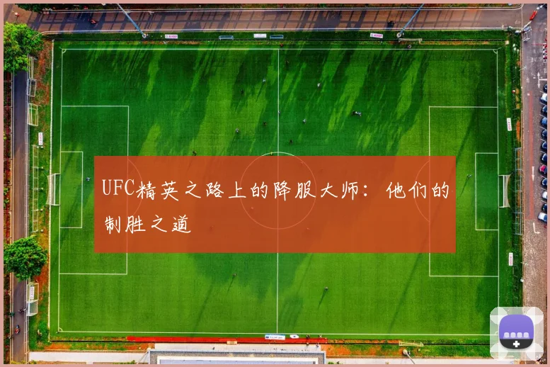 UFC精英之路上的降服大师:他们的制胜之道