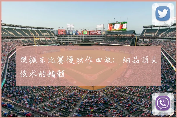 樊振东比赛慢动作回放:细品顶尖技术的精髓