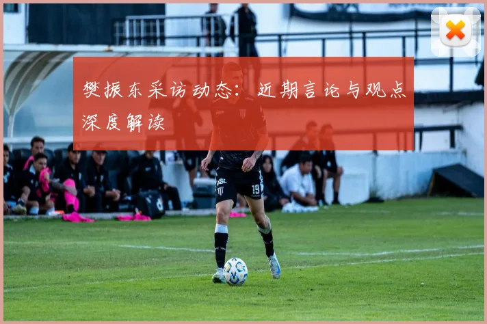 樊振东采访动态:近期言论与观点深度解读
