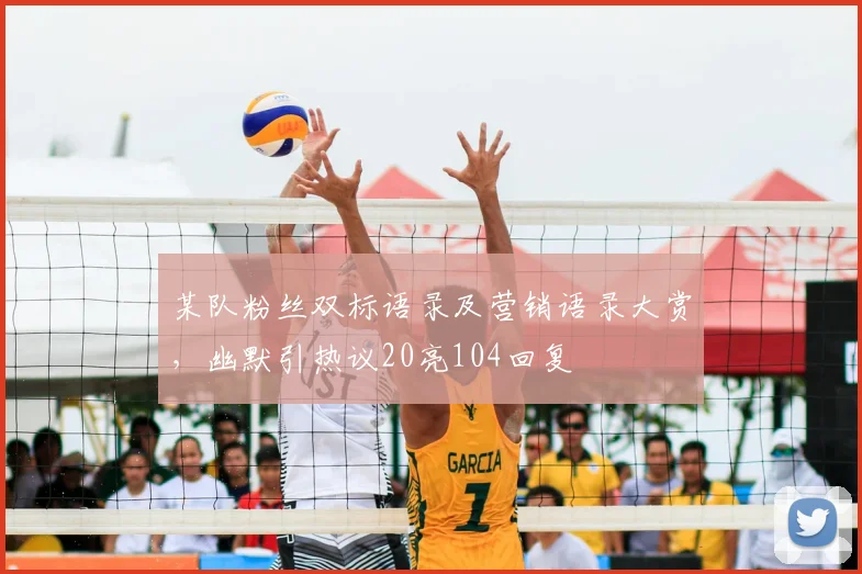 某队粉丝双标语录及营销语录大赏,幽默引热议20亮104回复