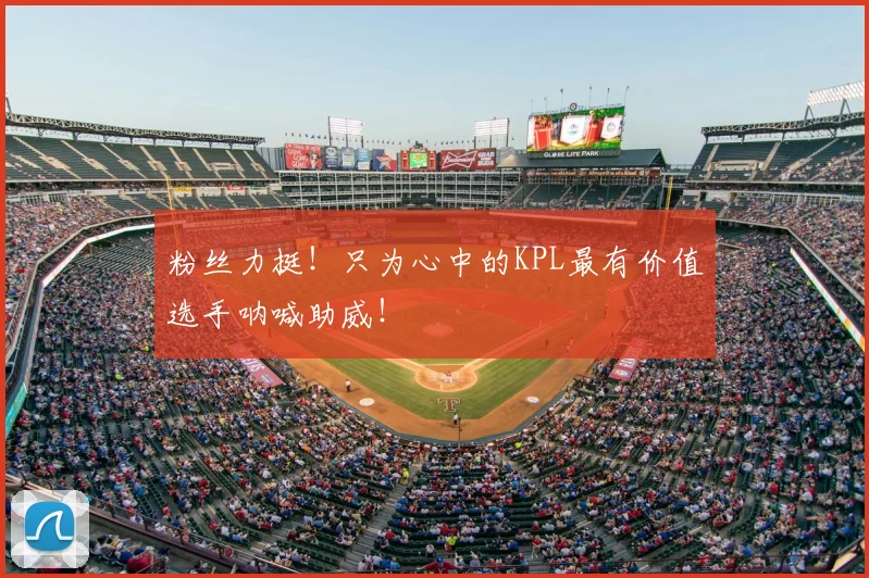粉丝力挺!只为心中的KPL最有价值选手呐喊助威!