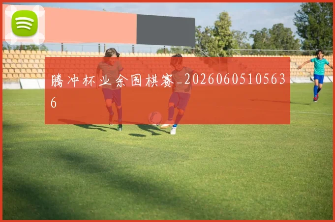 腾冲杯业余围棋赛_20260605105636