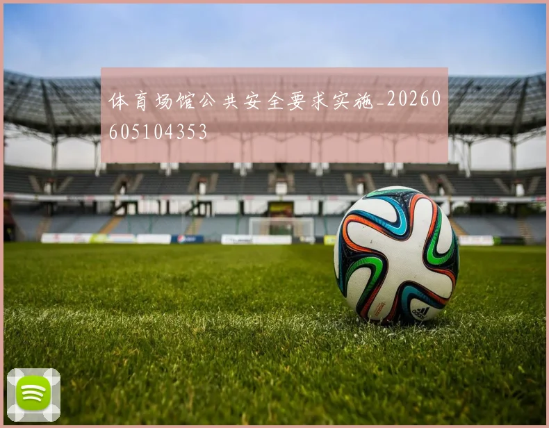 体育场馆公共安全要求实施_20260605104353