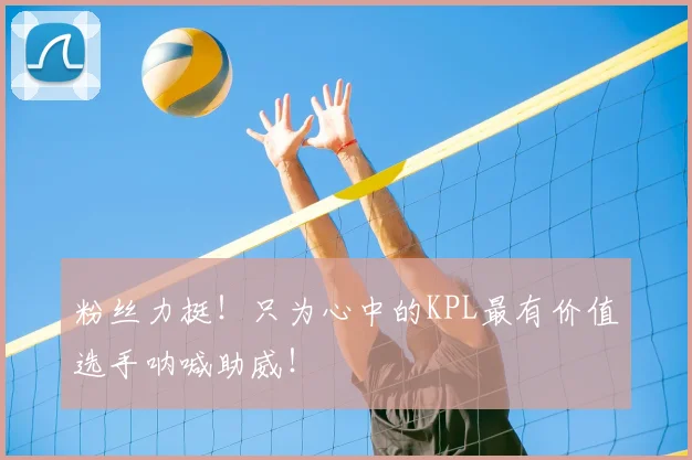 粉丝力挺!只为心中的KPL最有价值选手呐喊助威!