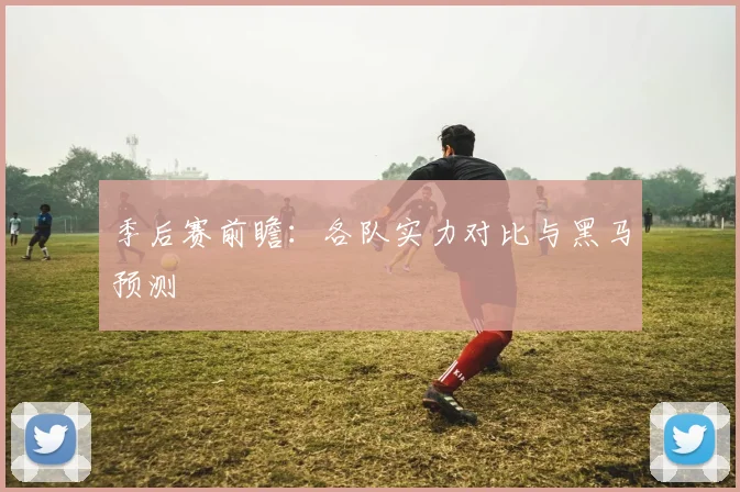 季后赛前瞻：各队实力对比与黑马预测