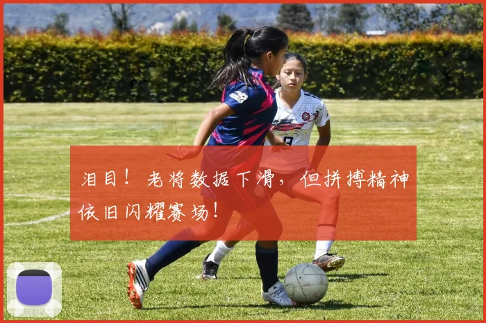 泪目!老将数据下滑,但拼搏精神依旧闪耀赛场!