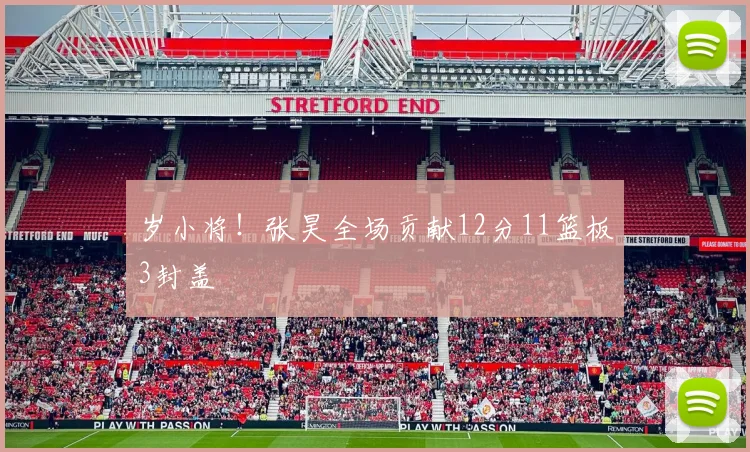 岁小将!张昊全场贡献12分11篮板3封盖