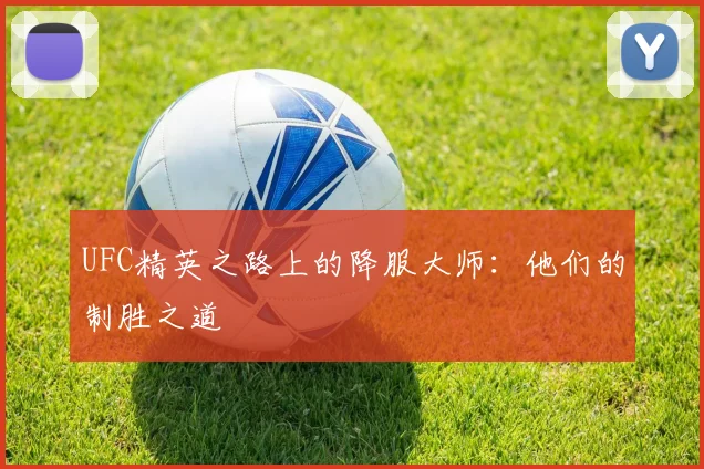 UFC精英之路上的降服大师:他们的制胜之道