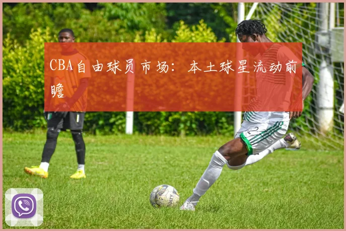 CBA自由球员市场:本土球星流动前瞻