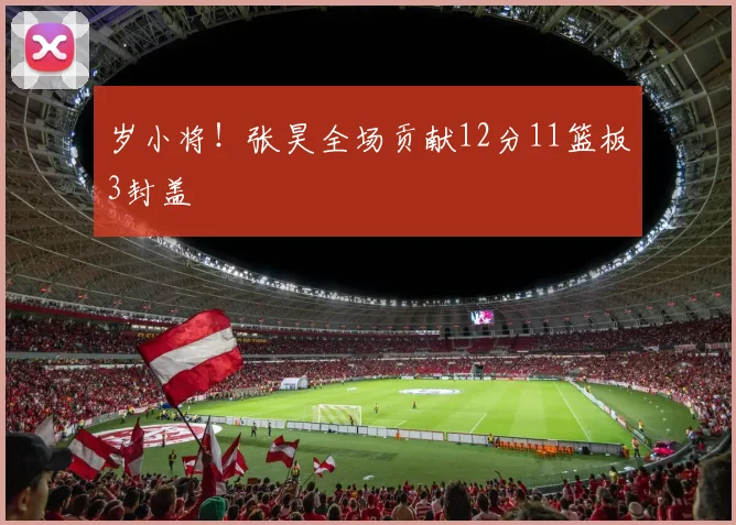 岁小将!张昊全场贡献12分11篮板3封盖