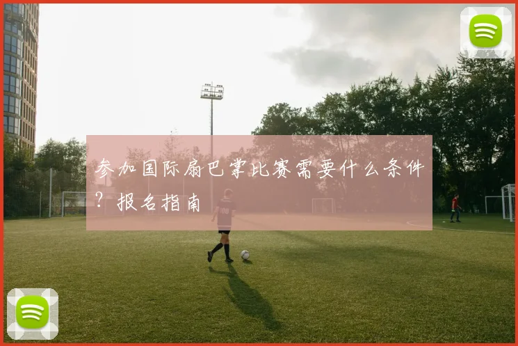 参加国际扇巴掌比赛需要什么条件?报名指南