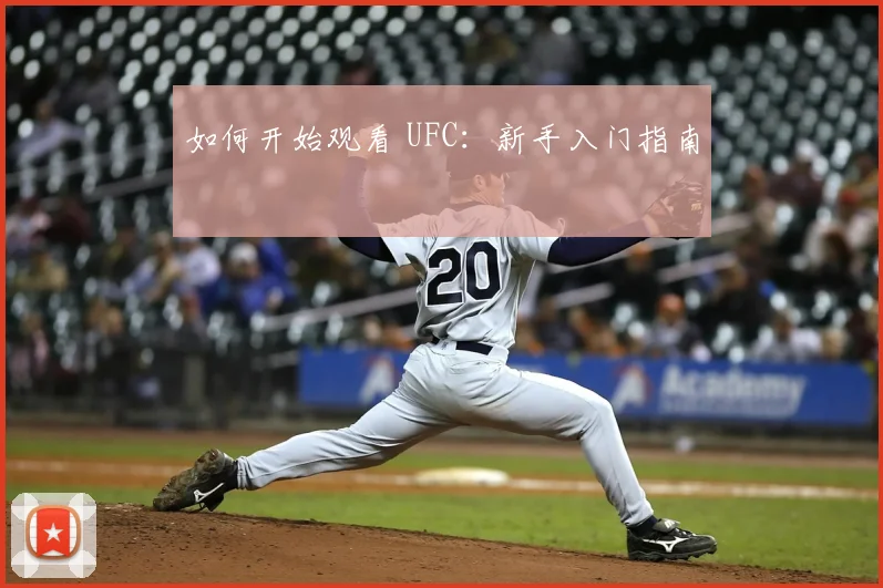 如何开始观看 UFC：新手入门指南