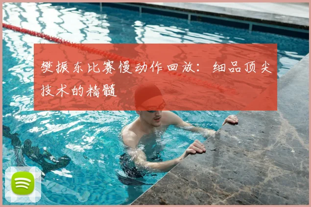 樊振东比赛慢动作回放:细品顶尖技术的精髓