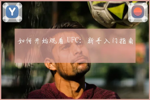 如何开始观看 UFC：新手入门指南