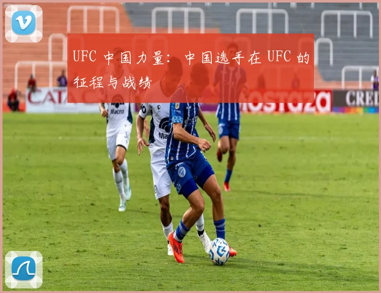 UFC 中国力量：中国选手在 UFC 的征程与战绩